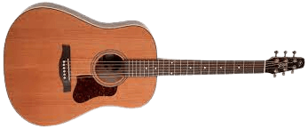 Seagull Coastline Momentum HG Acoustic Guitar